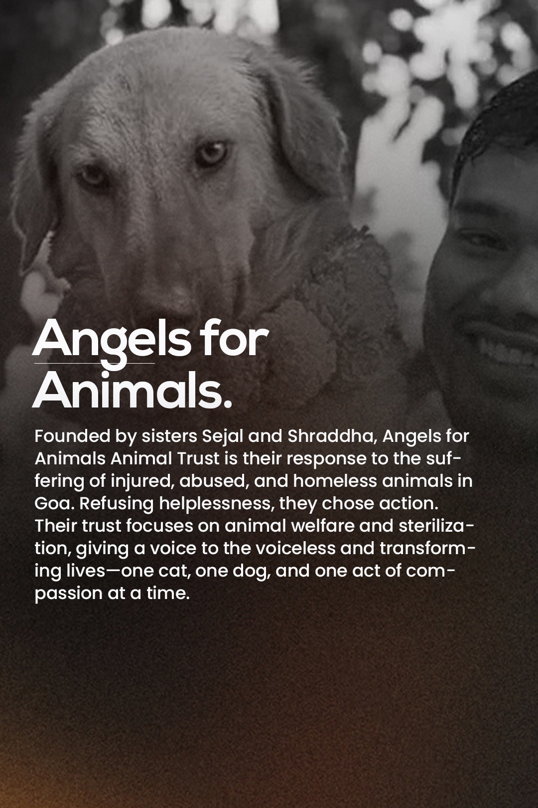 Angel for Animals Variant